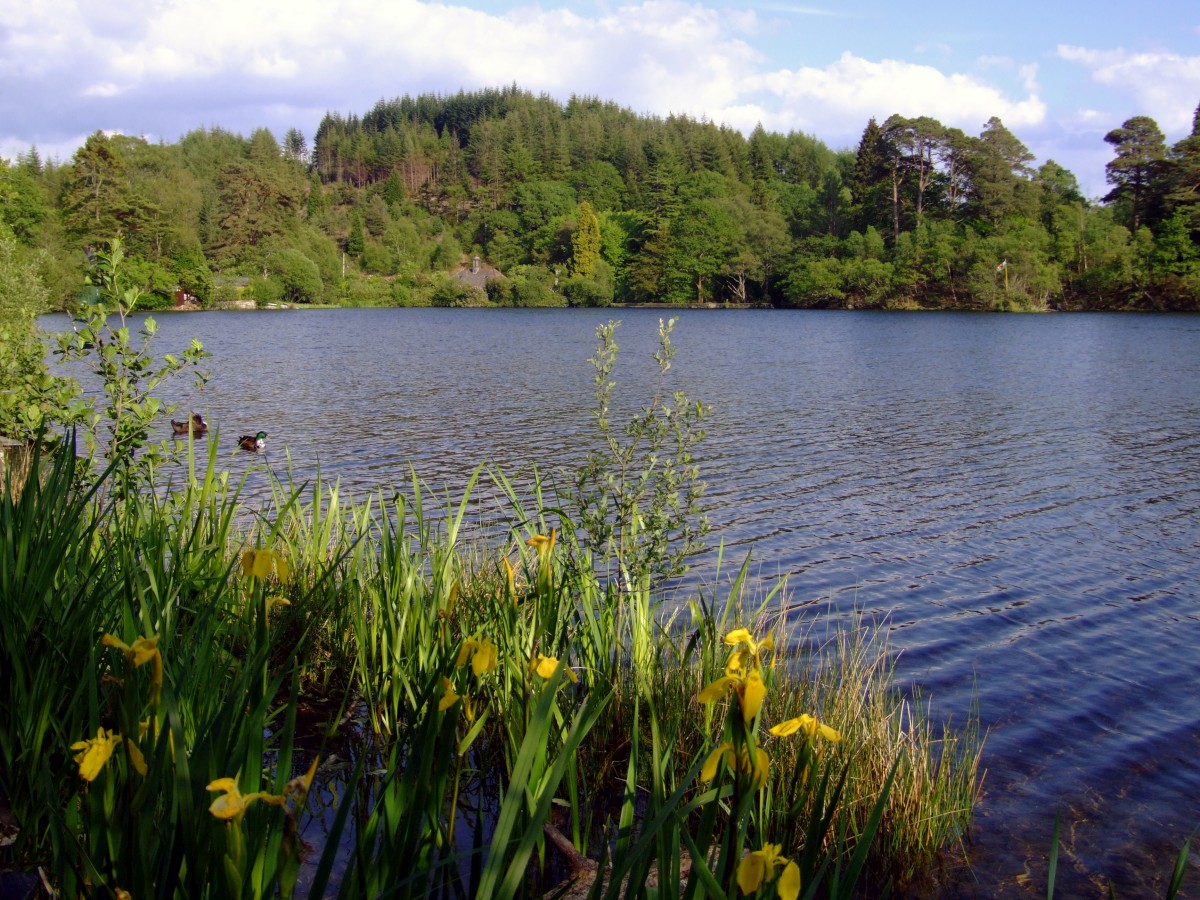 Llyn Mair in the Vale of Ffestiniog