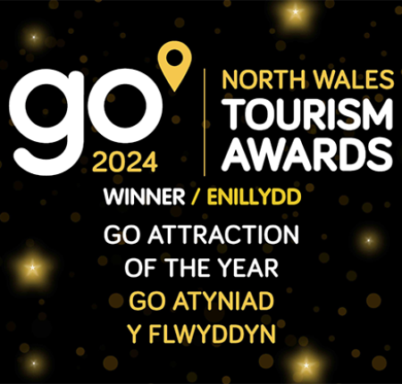 gonorthwales-award